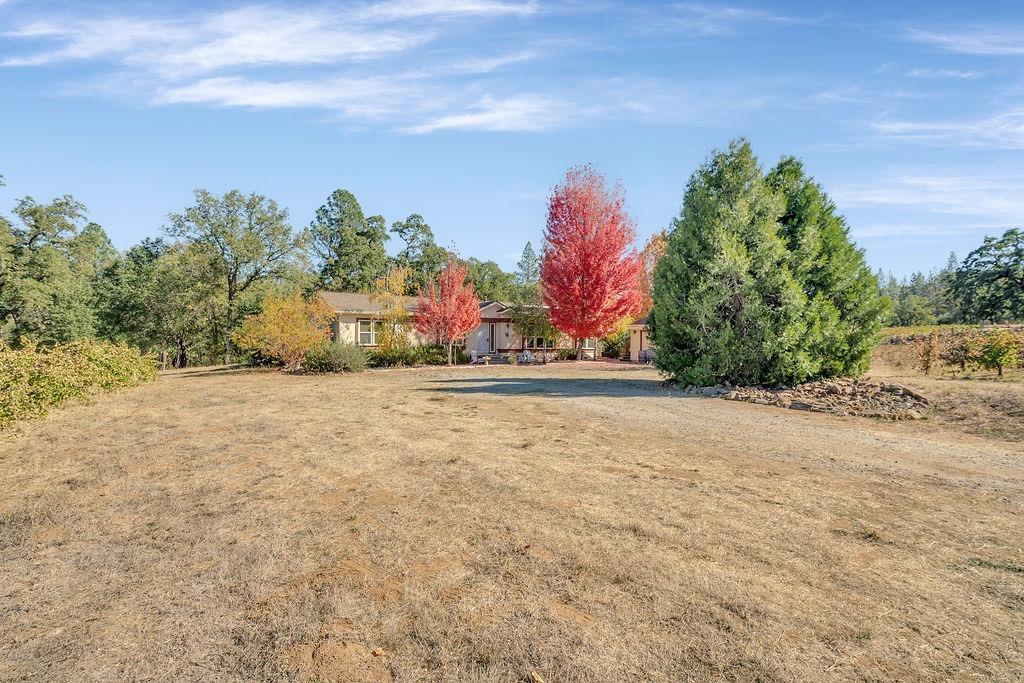 Detail Gallery Image 30 of 79 For 7701 Dorado Canyon Road, Somerset,  CA 95684 - 3 Beds | 2/1 Baths