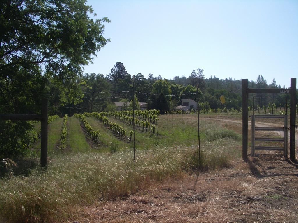 Detail Gallery Image 58 of 79 For 7701 Dorado Canyon Road, Somerset,  CA 95684 - 3 Beds | 2/1 Baths