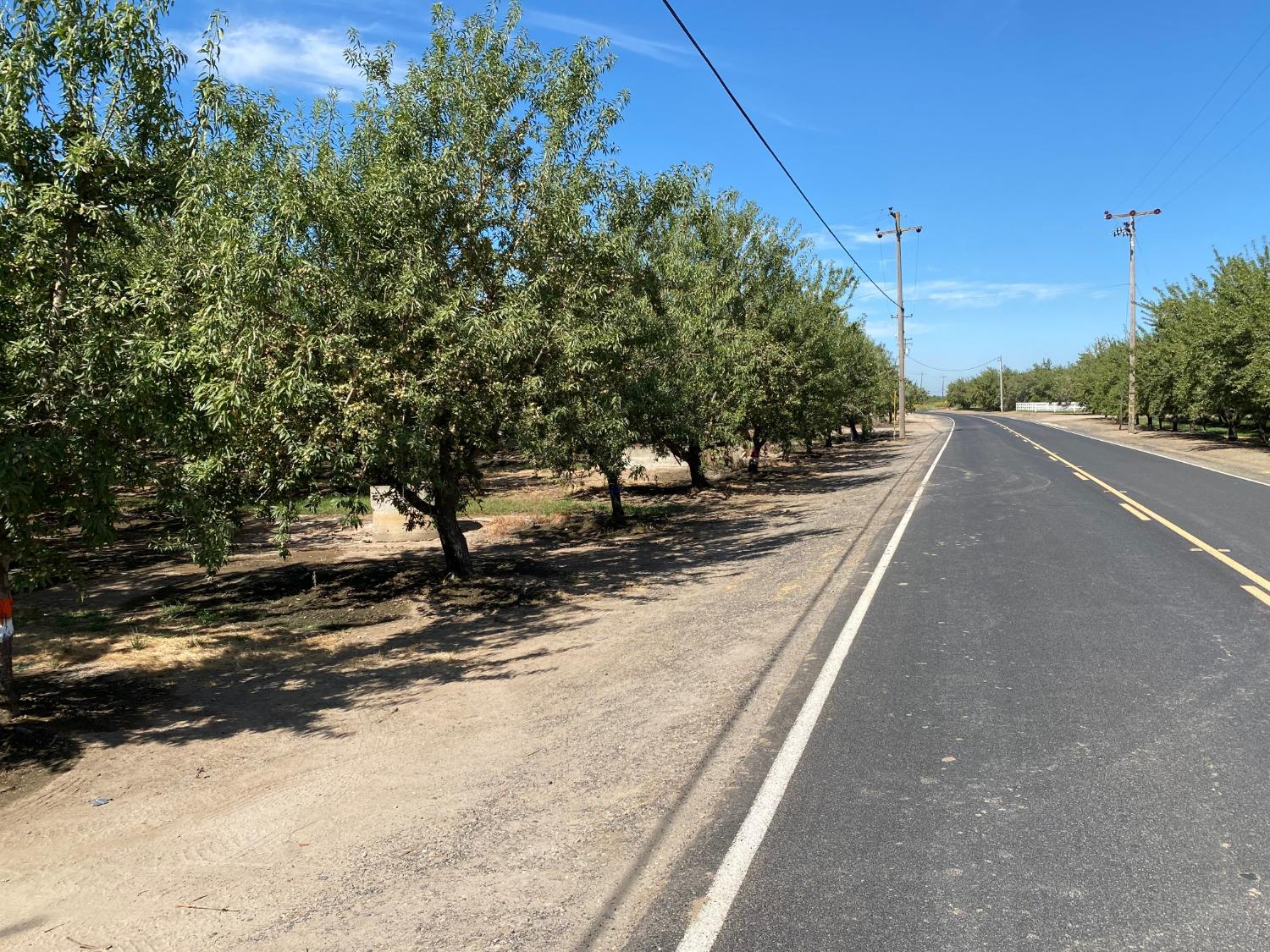 Lemon Avenue, Escalon, California image 5