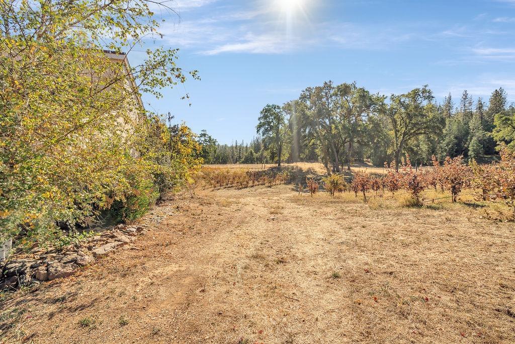 Detail Gallery Image 37 of 79 For 7701 Dorado Canyon Road, Somerset,  CA 95684 - 3 Beds | 2/1 Baths