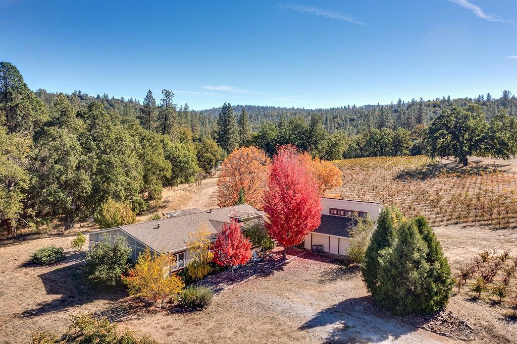 Detail Gallery Image 32 of 79 For 7701 Dorado Canyon Road, Somerset,  CA 95684 - 3 Beds | 2/1 Baths