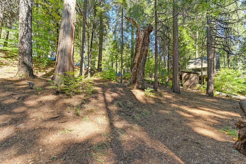 Detail Gallery Image 35 of 54 For 6469 Topaz Dr, Pollock Pines,  CA 95726 - 2 Beds | 1 Baths