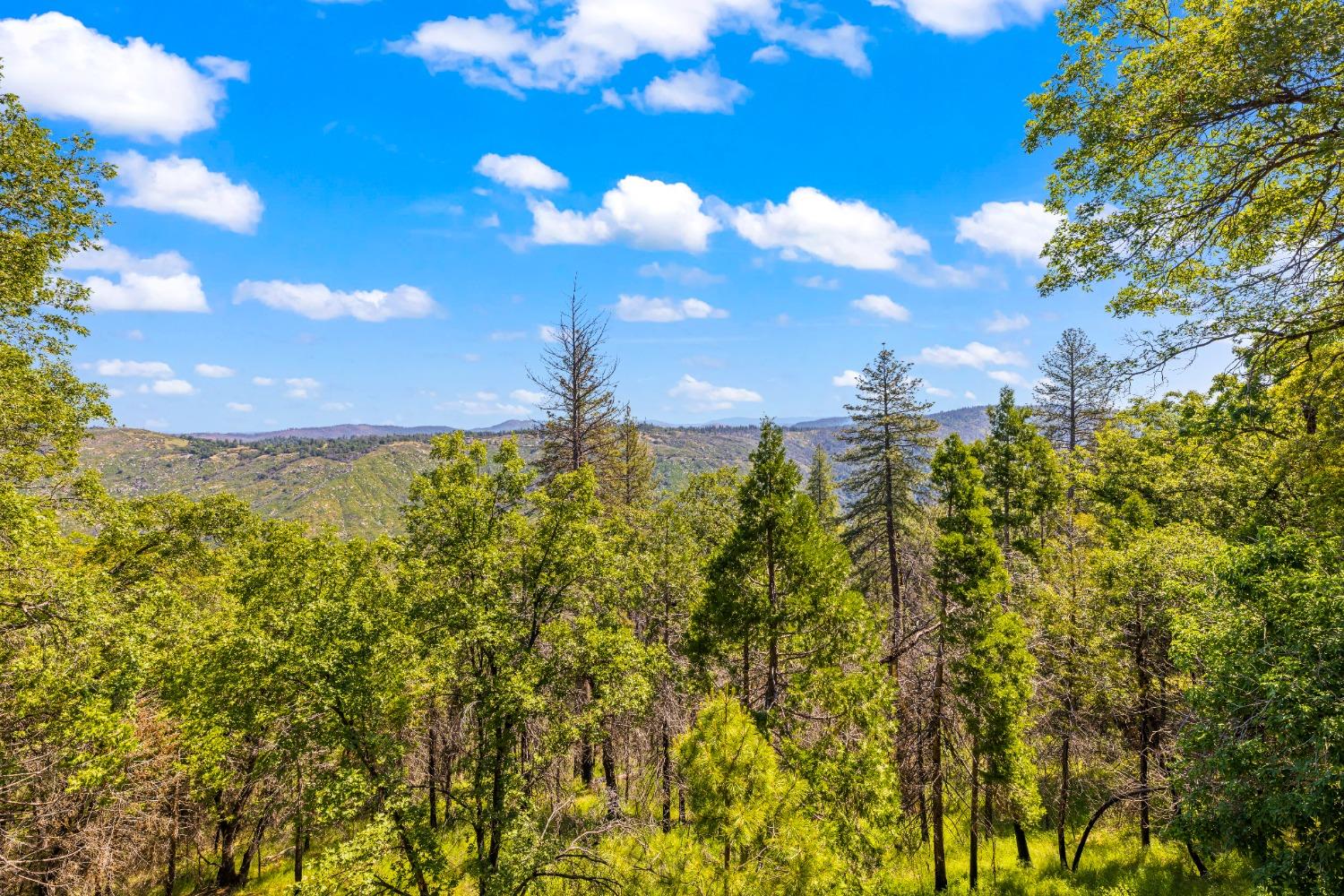 Detail Gallery Image 52 of 77 For 6745 Slug Gulch Rd, Somerset,  CA 95684 - 3 Beds | 2/1 Baths