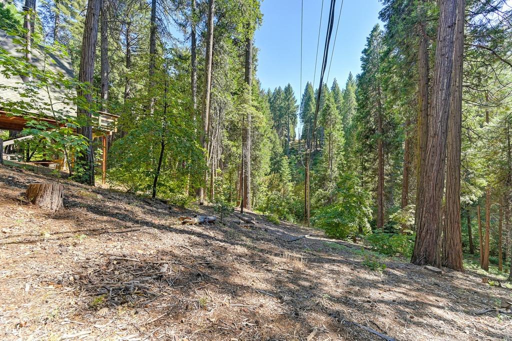 Detail Gallery Image 40 of 54 For 6469 Topaz Dr, Pollock Pines,  CA 95726 - 2 Beds | 1 Baths