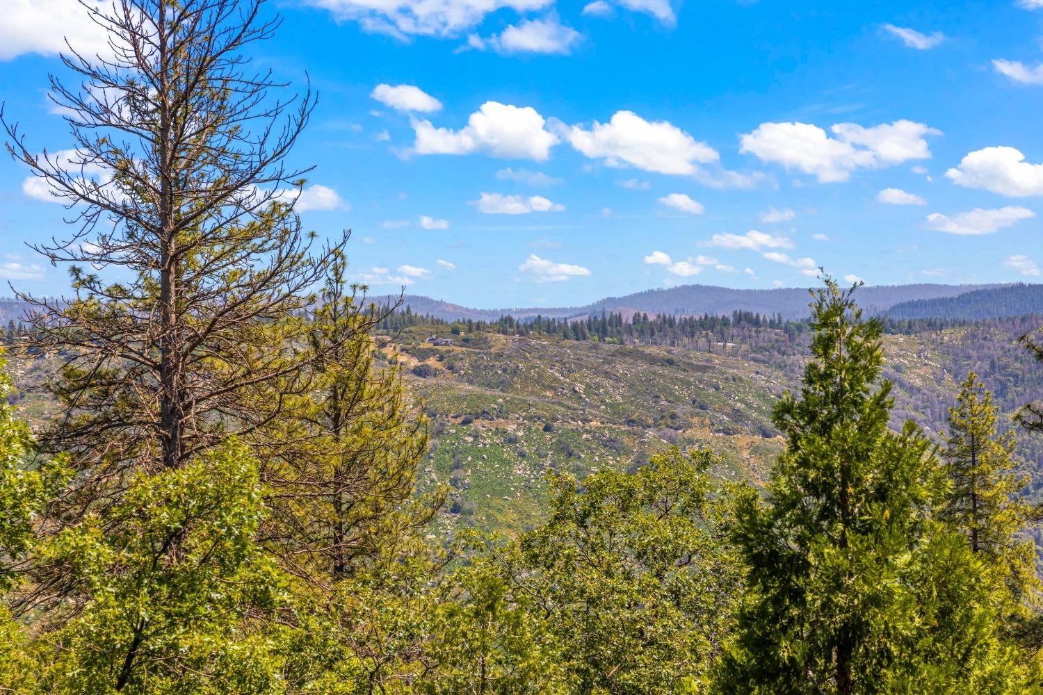 Detail Gallery Image 58 of 77 For 6745 Slug Gulch Rd, Somerset,  CA 95684 - 3 Beds | 2/1 Baths