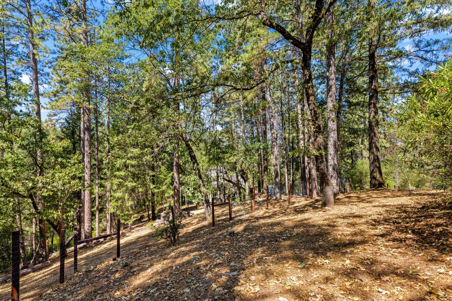 Detail Gallery Image 56 of 77 For 1942 Blue Bell, Cool,  CA 95614 - 3 Beds | 2/1 Baths