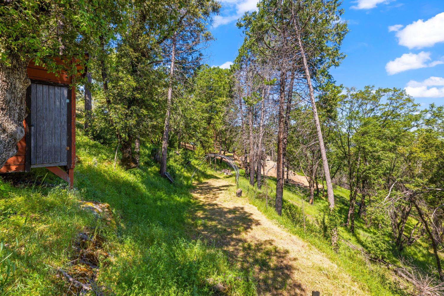 Detail Gallery Image 54 of 77 For 6745 Slug Gulch Rd, Somerset,  CA 95684 - 3 Beds | 2/1 Baths