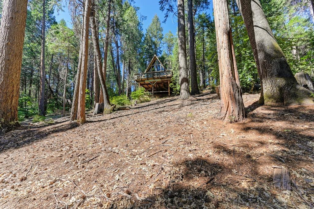 Detail Gallery Image 46 of 54 For 6469 Topaz Dr, Pollock Pines,  CA 95726 - 2 Beds | 1 Baths