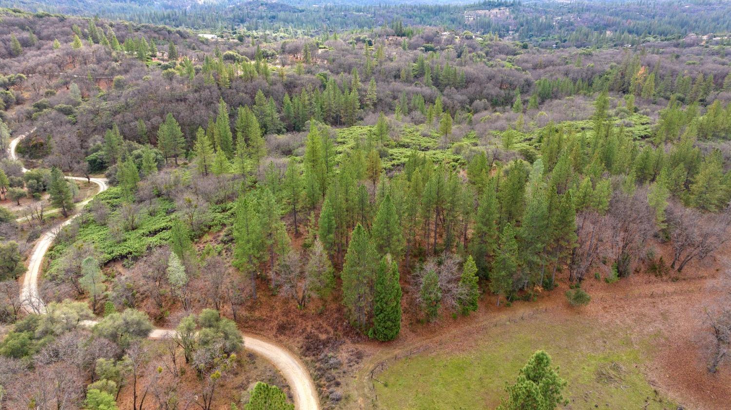 Detail Gallery Image 38 of 42 For 22338 Hyatt Rd, Nevada City,  CA 95959 - – Beds | – Baths