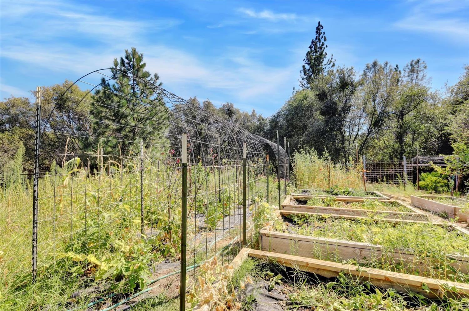 Detail Gallery Image 84 of 99 For 10213 Tyler Foote Rd, Nevada City,  CA 95959 - 3 Beds | 2/1 Baths