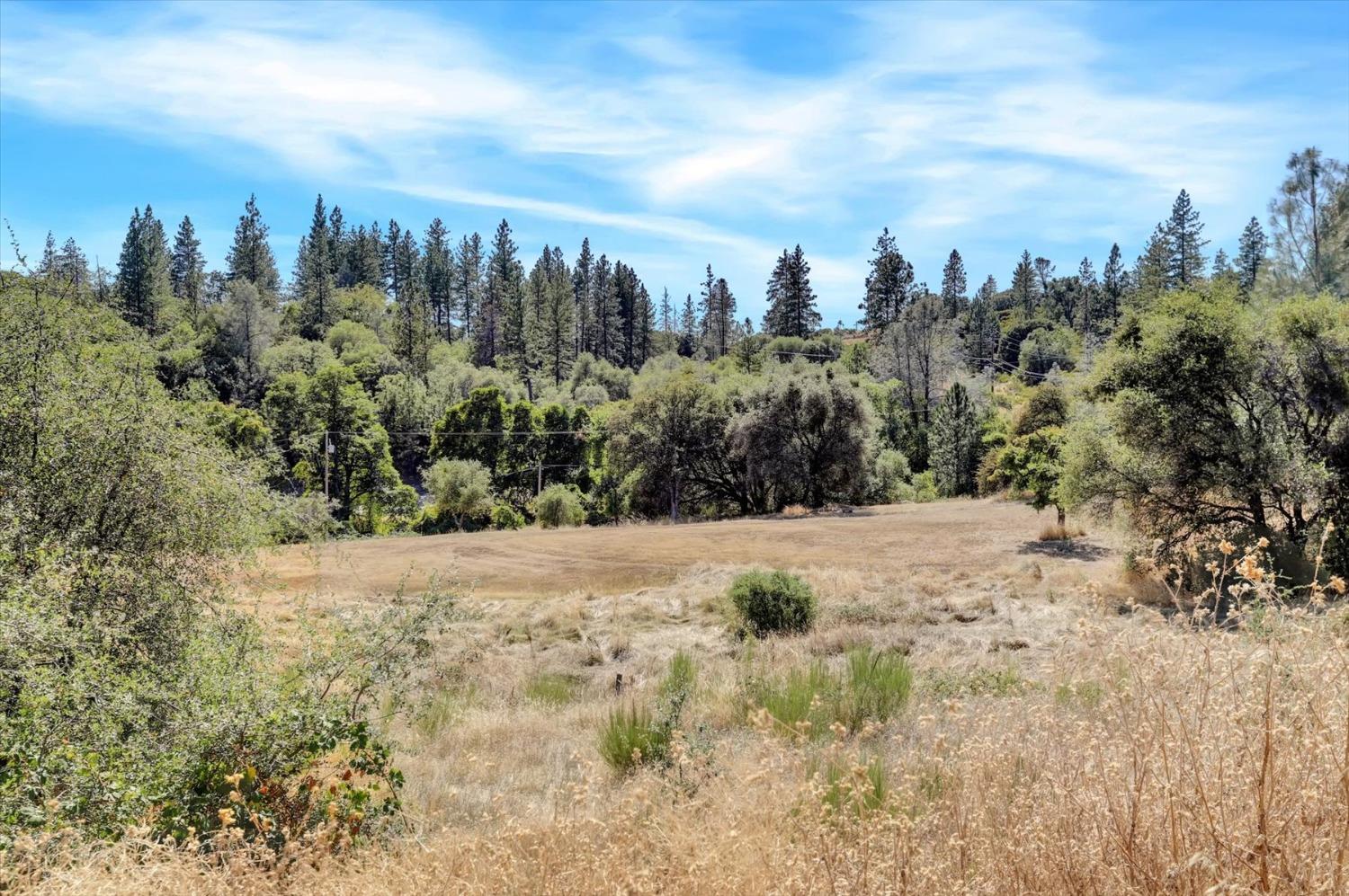 Detail Gallery Image 86 of 99 For 10213 Tyler Foote Rd, Nevada City,  CA 95959 - 3 Beds | 2/1 Baths