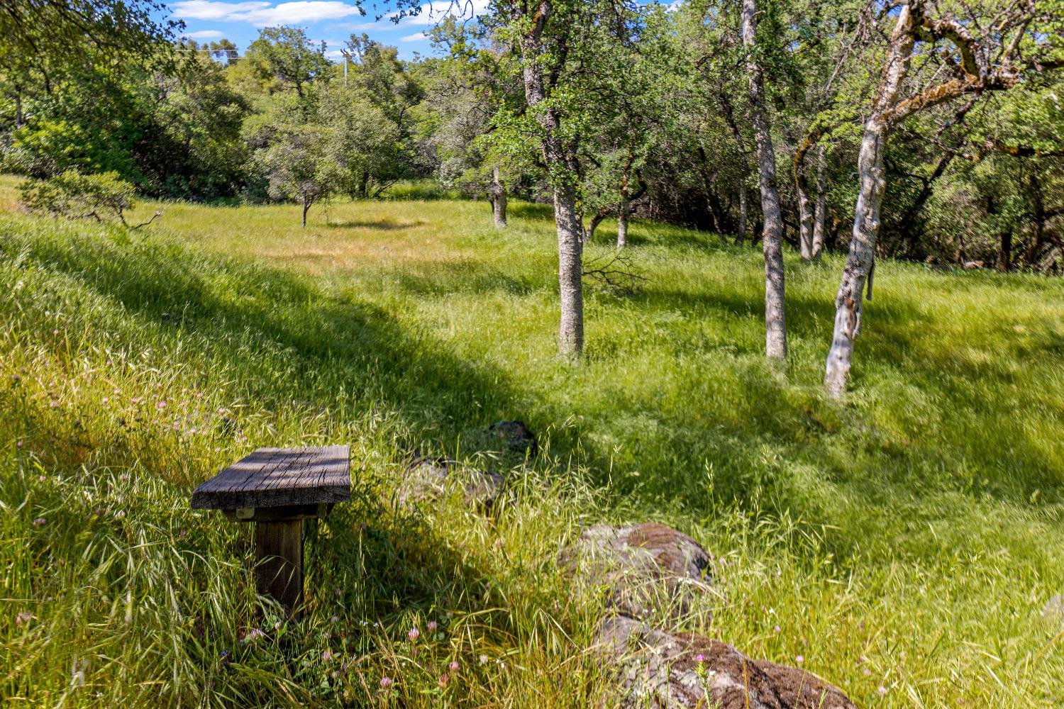 Detail Gallery Image 37 of 38 For 3200 Texas Hill Rd, Placerville,  CA 95667 - 4 Beds | 2 Baths