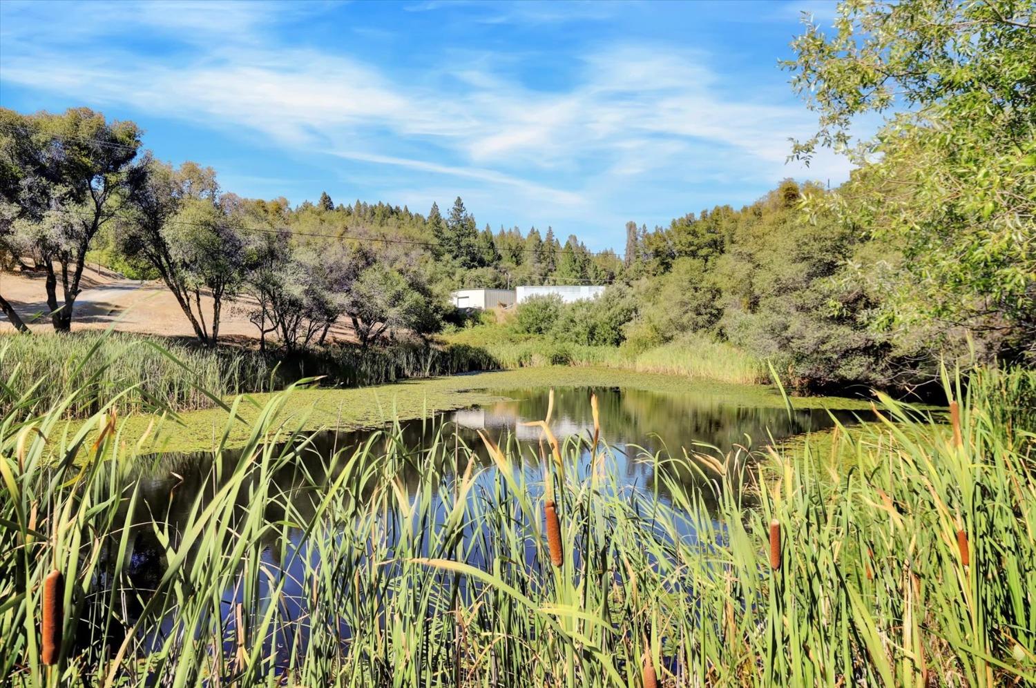 Detail Gallery Image 87 of 99 For 10213 Tyler Foote Rd, Nevada City,  CA 95959 - 3 Beds | 2/1 Baths