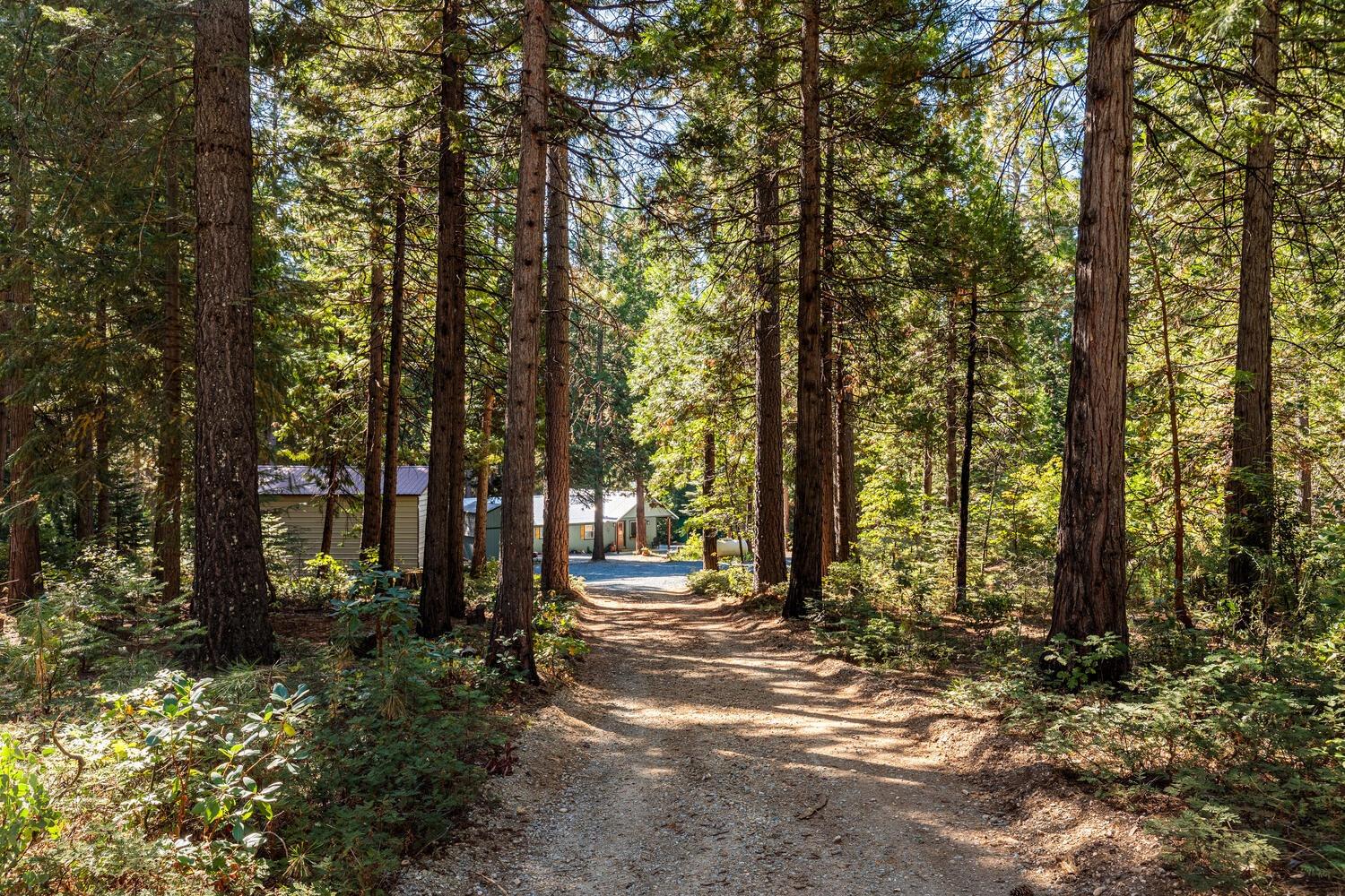 Detail Gallery Image 34 of 41 For 18545 Cruzon Grade Rd, Nevada City,  CA 95959 - 1 Beds | 1 Baths