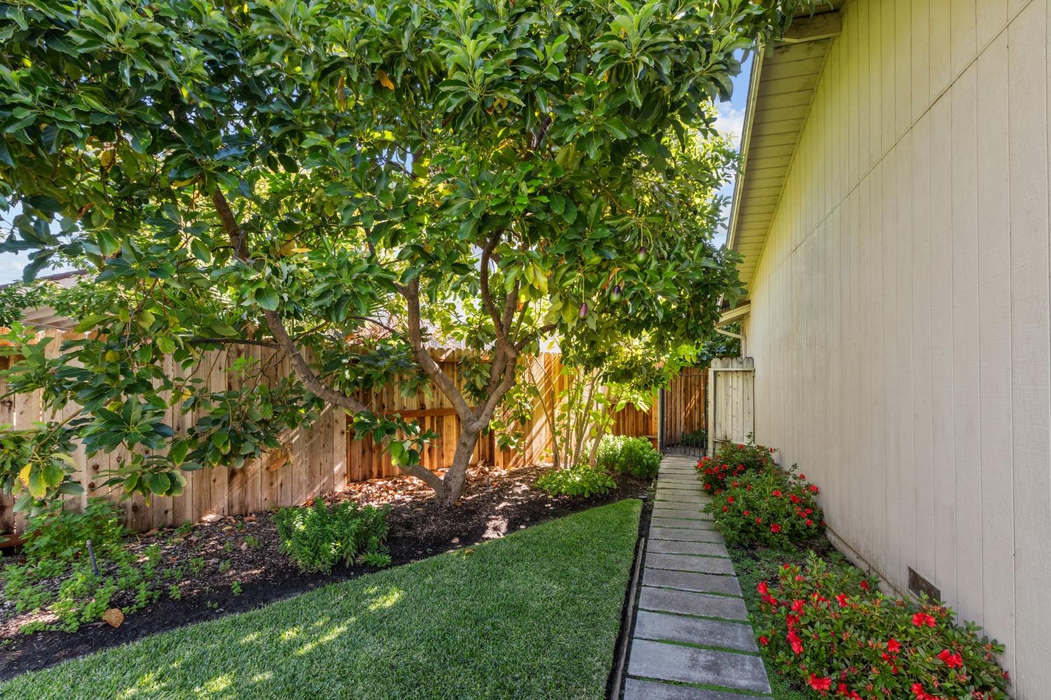 Detail Gallery Image 28 of 34 For 2445 Angel Dr, Stockton,  CA 95209 - 3 Beds | 2 Baths