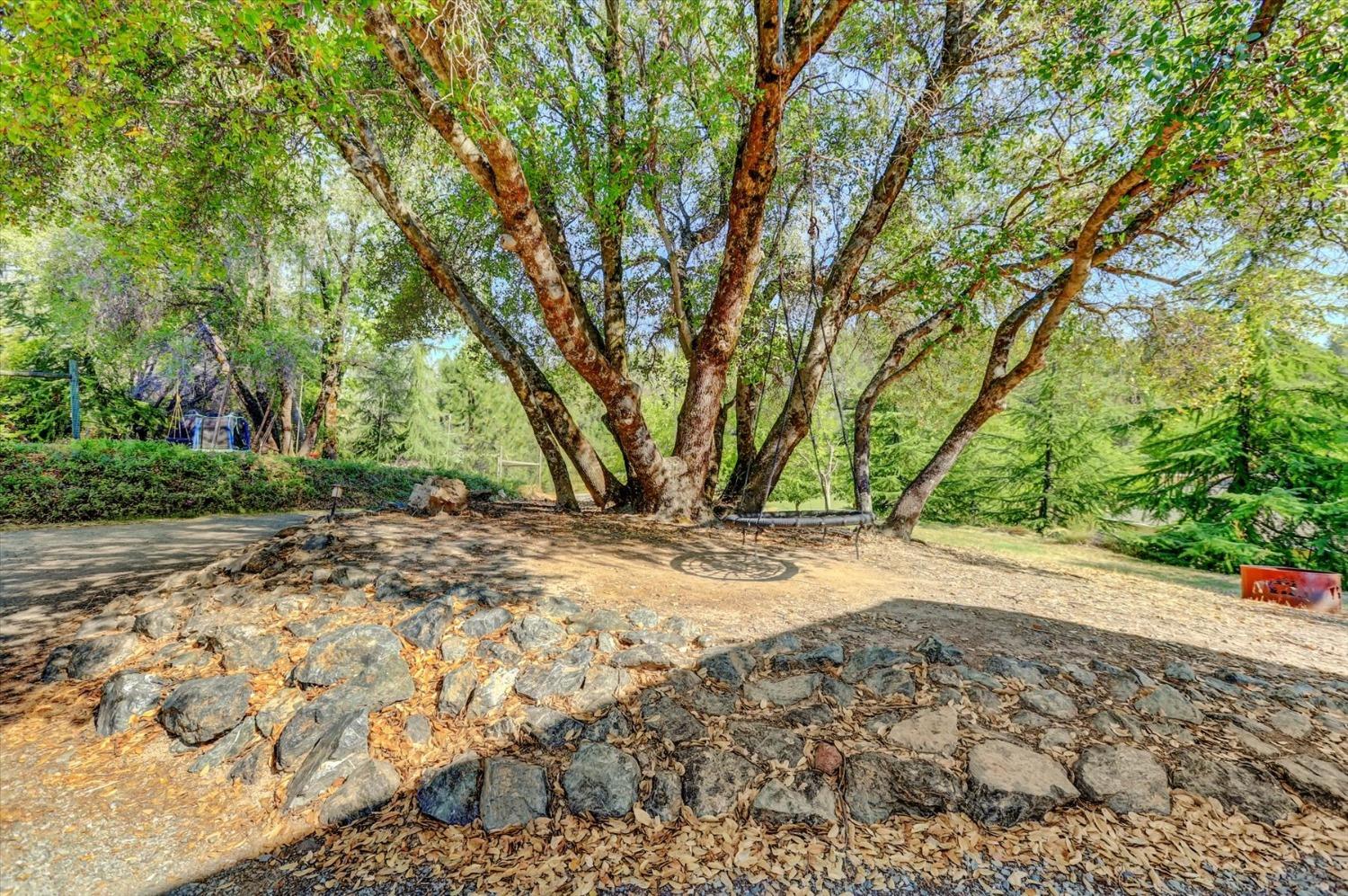 Detail Gallery Image 70 of 99 For 10213 Tyler Foote Rd, Nevada City,  CA 95959 - 3 Beds | 2/1 Baths