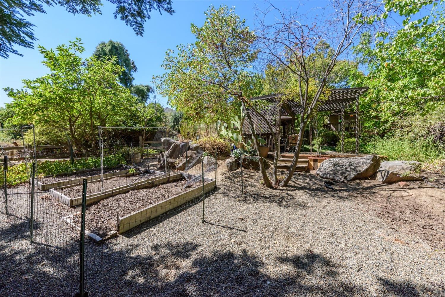 Detail Gallery Image 31 of 34 For 3341 Colina Ct, Cameron Park,  CA 95682 - 3 Beds | 2 Baths