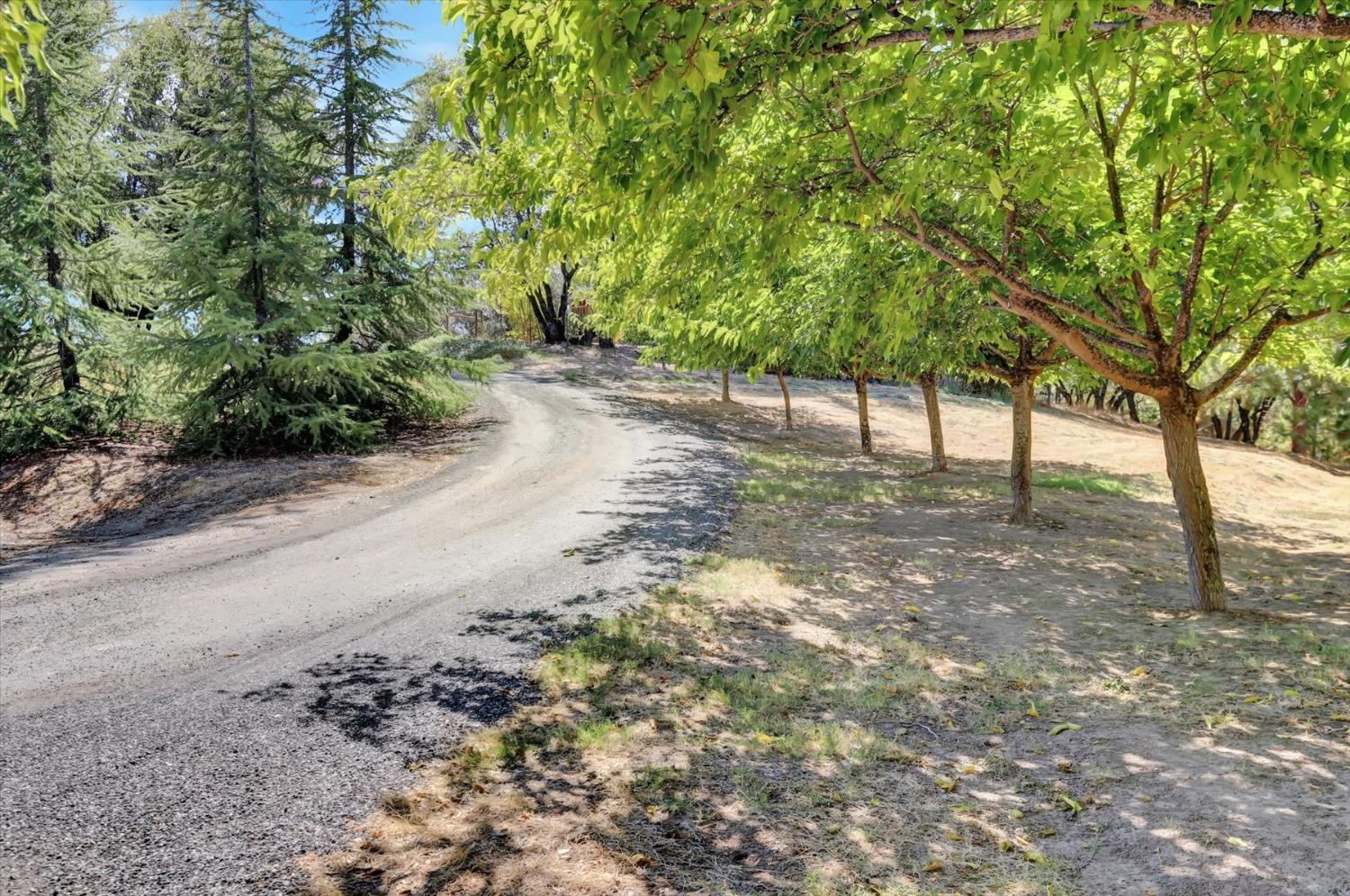 Detail Gallery Image 73 of 99 For 10213 Tyler Foote Rd, Nevada City,  CA 95959 - 3 Beds | 2/1 Baths