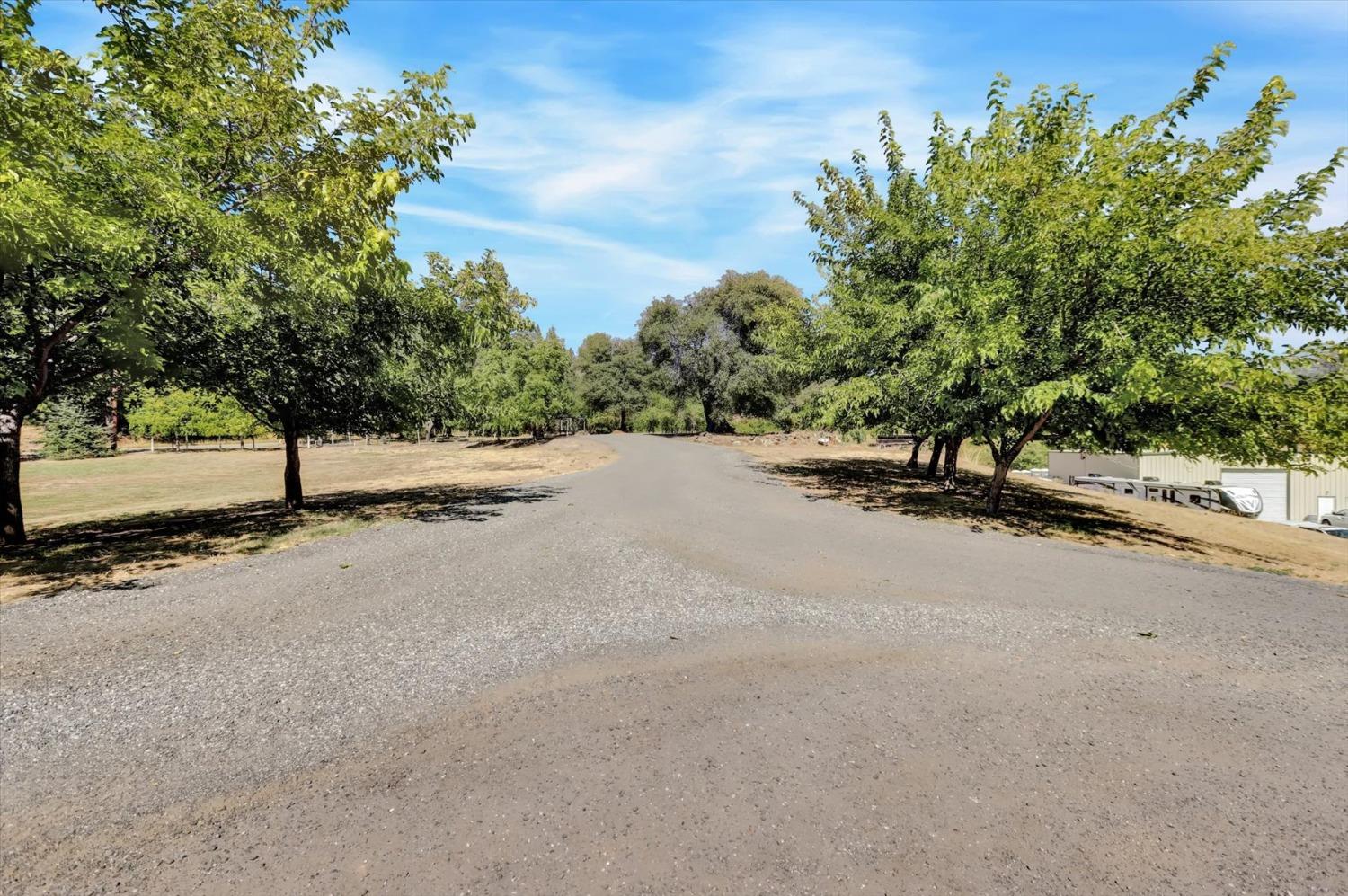 Detail Gallery Image 75 of 99 For 10213 Tyler Foote Rd, Nevada City,  CA 95959 - 3 Beds | 2/1 Baths