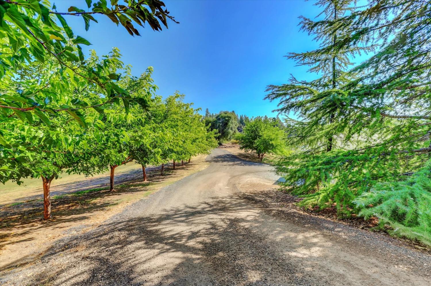 Detail Gallery Image 68 of 99 For 10213 Tyler Foote Rd, Nevada City,  CA 95959 - 3 Beds | 2/1 Baths