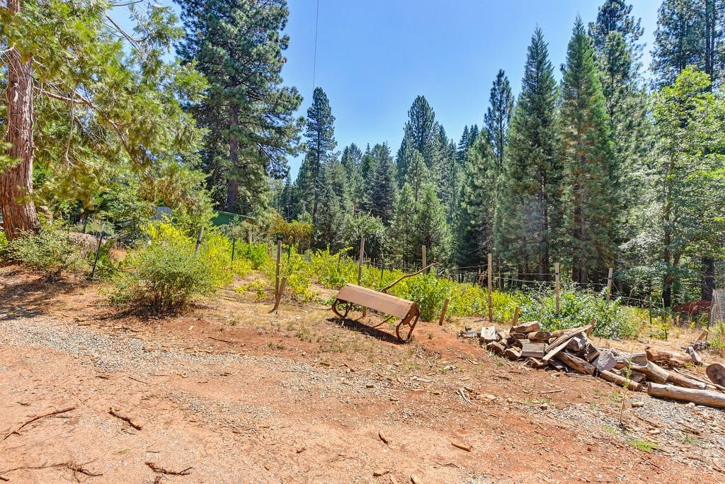 Detail Gallery Image 74 of 99 For 6960 Blackhawk Ln, Foresthill,  CA 95631 - 7 Beds | 4/1 Baths