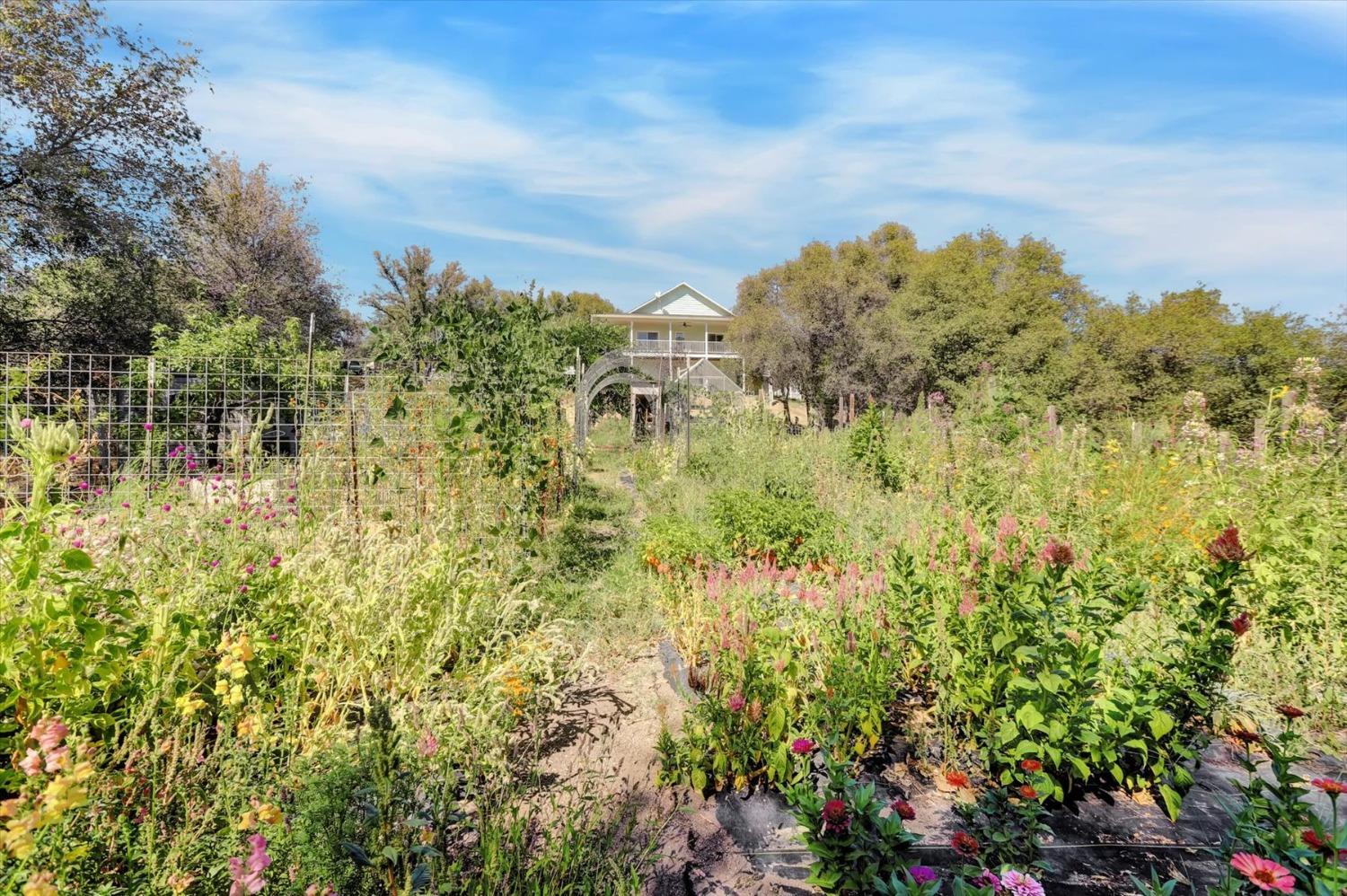 Detail Gallery Image 85 of 99 For 10213 Tyler Foote Rd, Nevada City,  CA 95959 - 3 Beds | 2/1 Baths