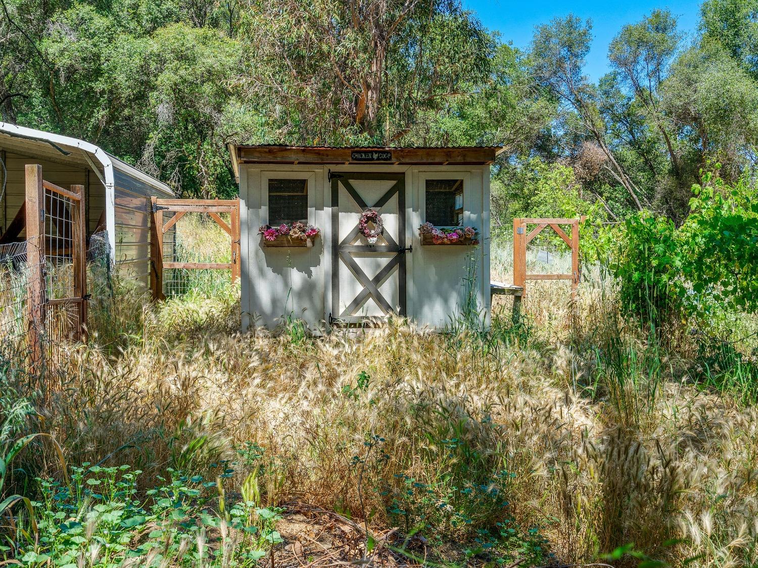 Detail Gallery Image 14 of 65 For 1640 Pilgrim Way, Placerville,  CA 95667 - 4 Beds | 3/1 Baths