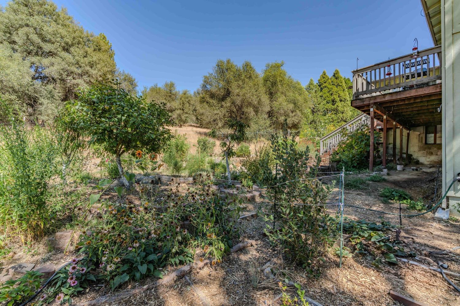 Detail Gallery Image 45 of 55 For 7184 Perry Creek Rd, Somerset,  CA 95684 - 3 Beds | 2 Baths