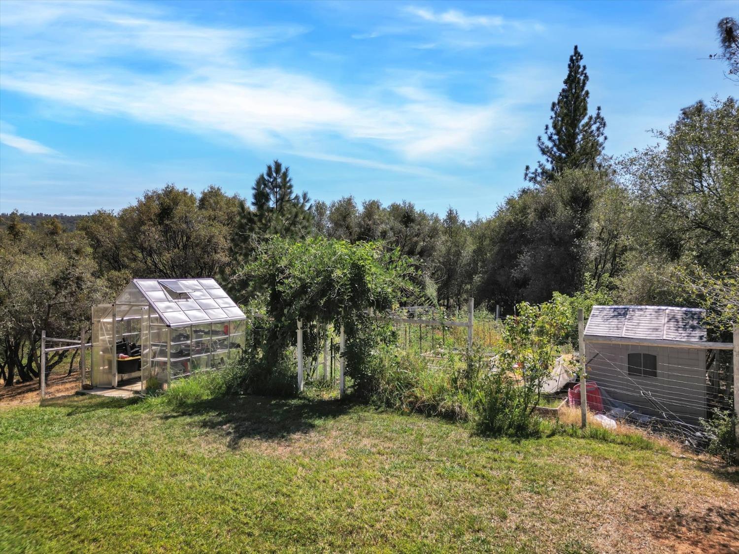 Detail Gallery Image 49 of 99 For 10213 Tyler Foote Rd, Nevada City,  CA 95959 - 3 Beds | 2/1 Baths