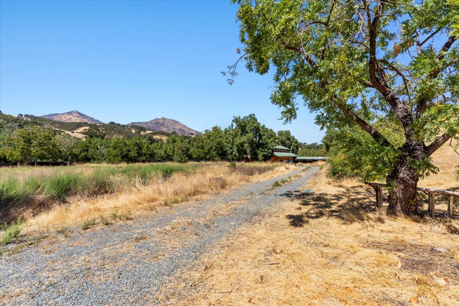 Detail Gallery Image 6 of 95 For 6115 Morgan Territory Rd, Clayton,  CA 94517 - 2 Beds | 1/1 Baths