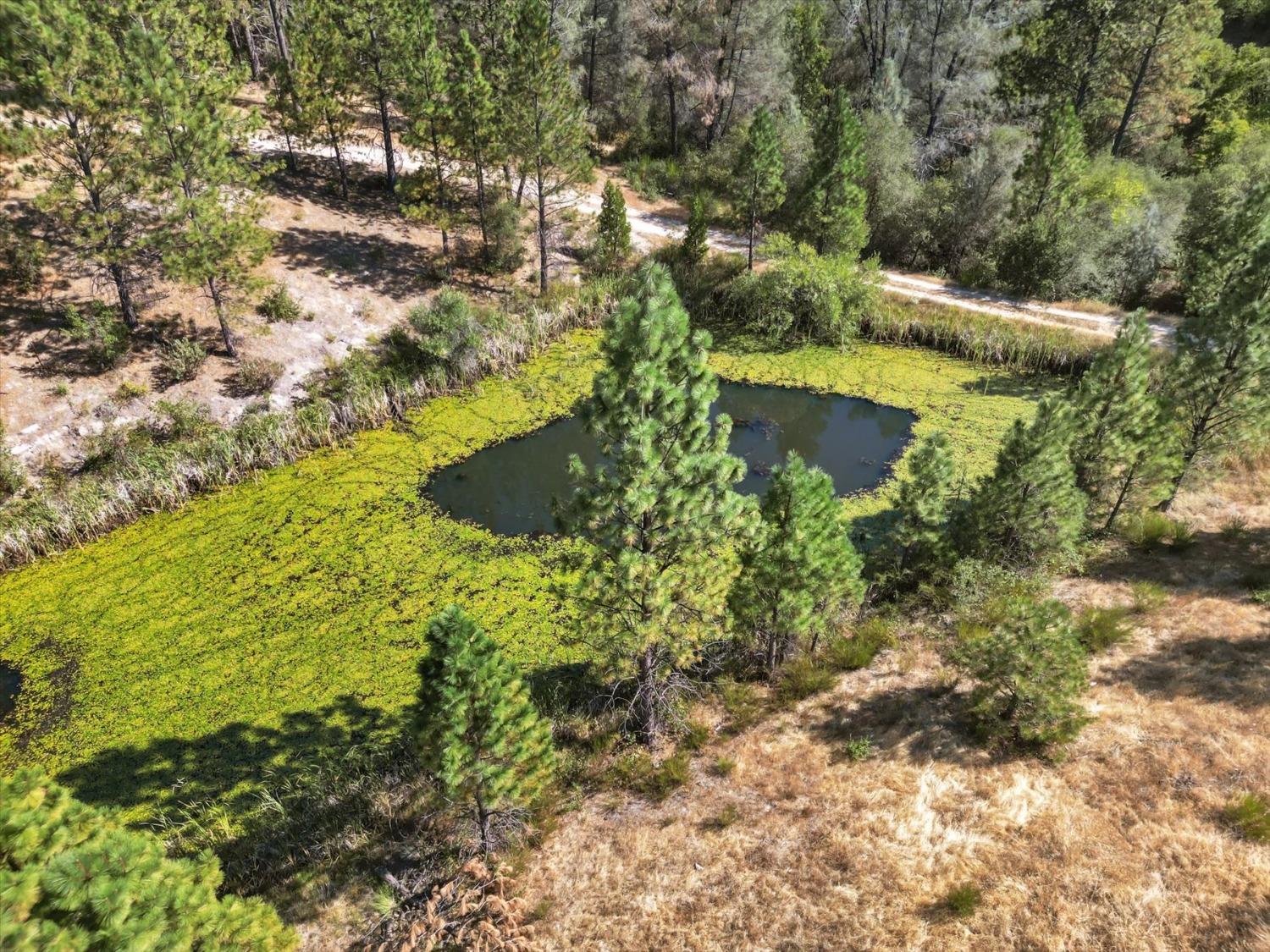 Detail Gallery Image 52 of 99 For 10213 Tyler Foote Rd, Nevada City,  CA 95959 - 3 Beds | 2/1 Baths