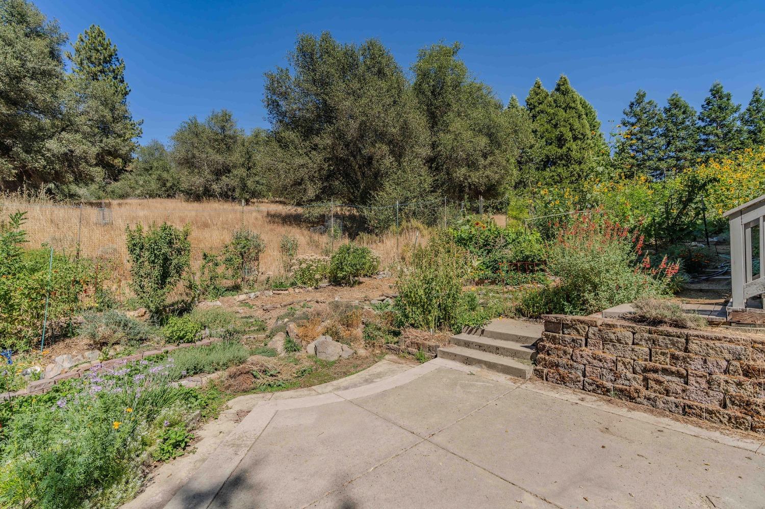 Detail Gallery Image 44 of 55 For 7184 Perry Creek Rd, Somerset,  CA 95684 - 3 Beds | 2 Baths