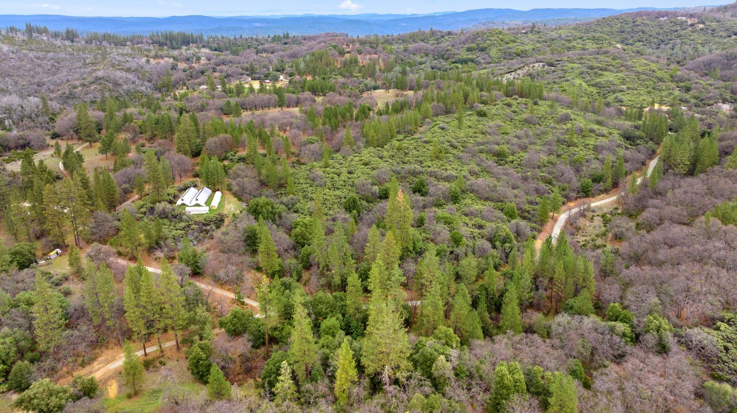 Detail Gallery Image 41 of 42 For 22338 Hyatt Rd, Nevada City,  CA 95959 - – Beds | – Baths