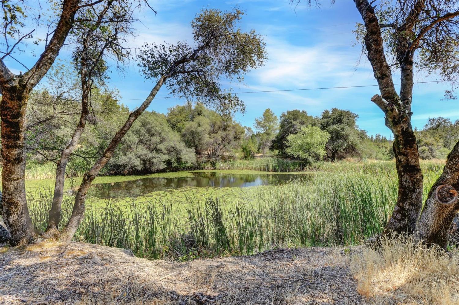 Detail Gallery Image 78 of 99 For 10213 Tyler Foote Rd, Nevada City,  CA 95959 - 3 Beds | 2/1 Baths