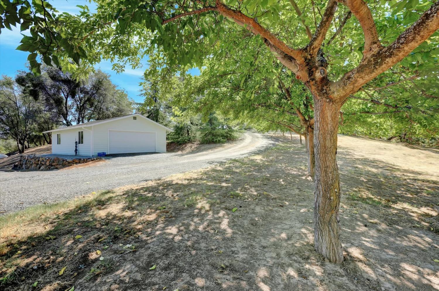 Detail Gallery Image 72 of 99 For 10213 Tyler Foote Rd, Nevada City,  CA 95959 - 3 Beds | 2/1 Baths