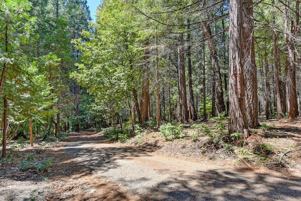 Detail Gallery Image 90 of 99 For 6960 Blackhawk Ln, Foresthill,  CA 95631 - 7 Beds | 4/1 Baths