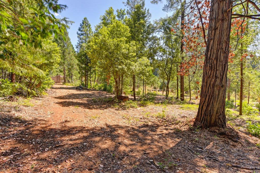 Detail Gallery Image 86 of 99 For 6960 Blackhawk Ln, Foresthill,  CA 95631 - 7 Beds | 4/1 Baths