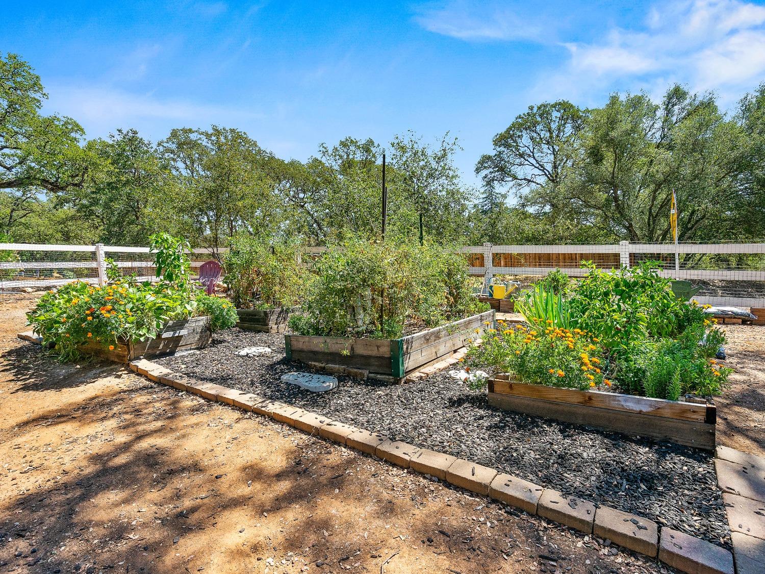 Detail Gallery Image 39 of 51 For 1141 Uplands Dr, El Dorado Hills,  CA 95762 - 3 Beds | 3 Baths