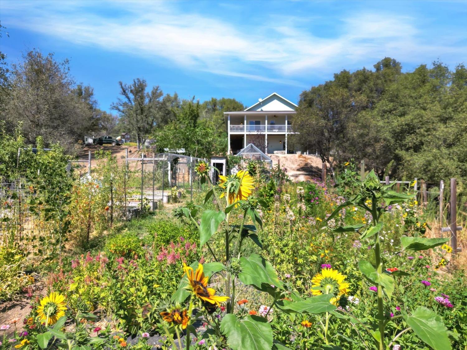 Detail Gallery Image 50 of 99 For 10213 Tyler Foote Rd, Nevada City,  CA 95959 - 3 Beds | 2/1 Baths