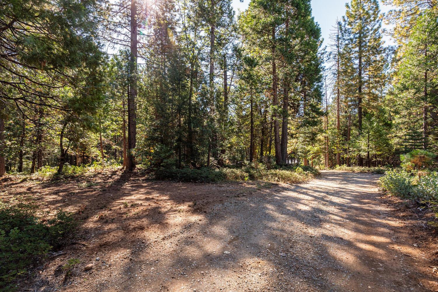 Detail Gallery Image 35 of 41 For 18545 Cruzon Grade Rd, Nevada City,  CA 95959 - 1 Beds | 1 Baths