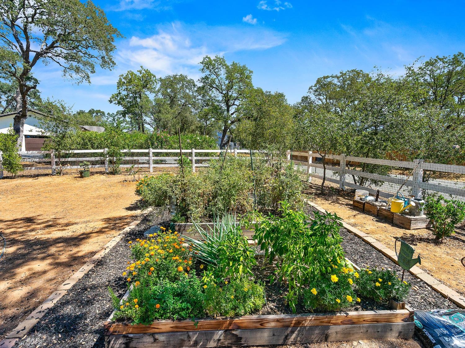 Detail Gallery Image 40 of 51 For 1141 Uplands Dr, El Dorado Hills,  CA 95762 - 3 Beds | 3 Baths