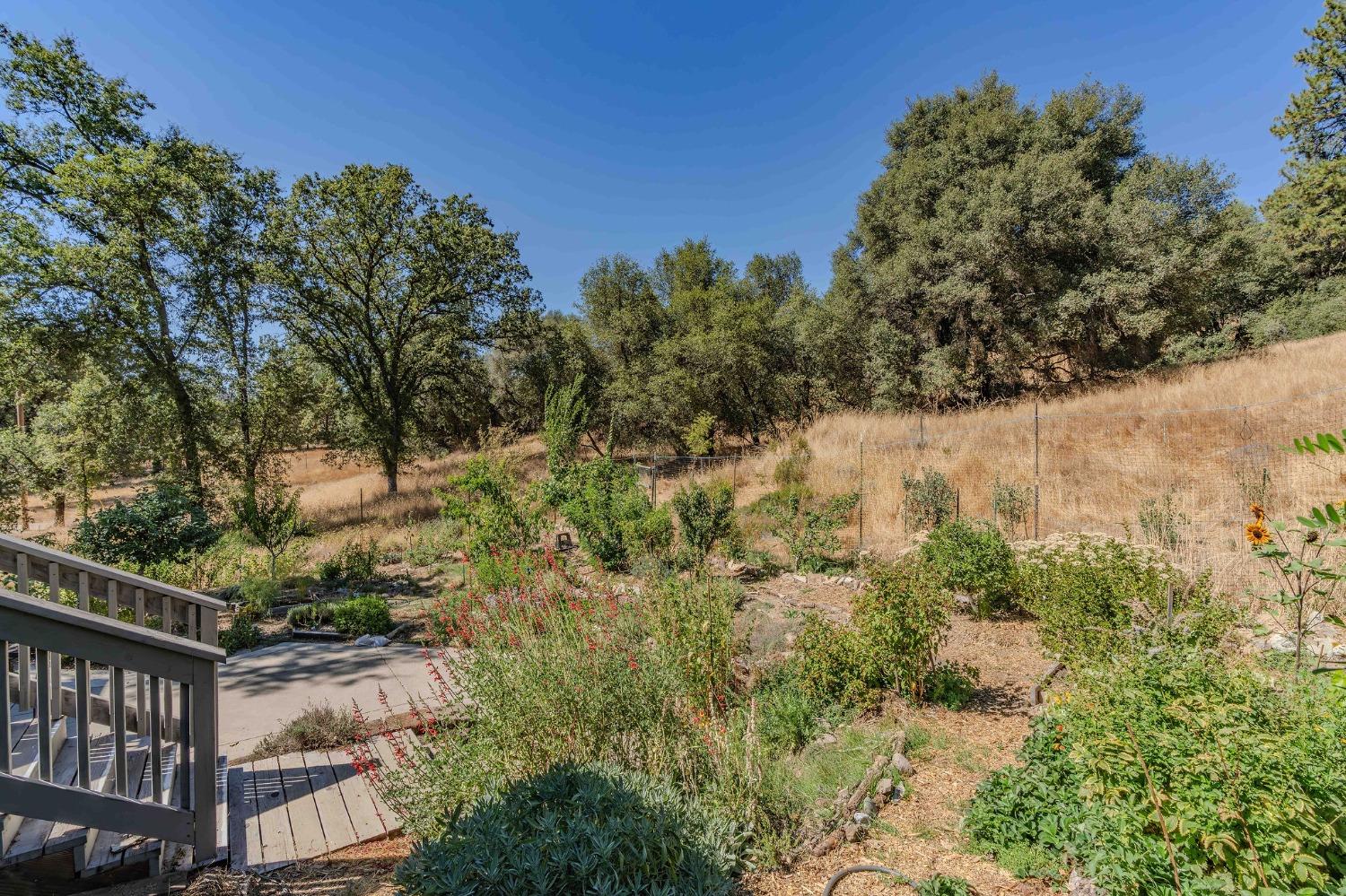 Detail Gallery Image 42 of 55 For 7184 Perry Creek Rd, Somerset,  CA 95684 - 3 Beds | 2 Baths