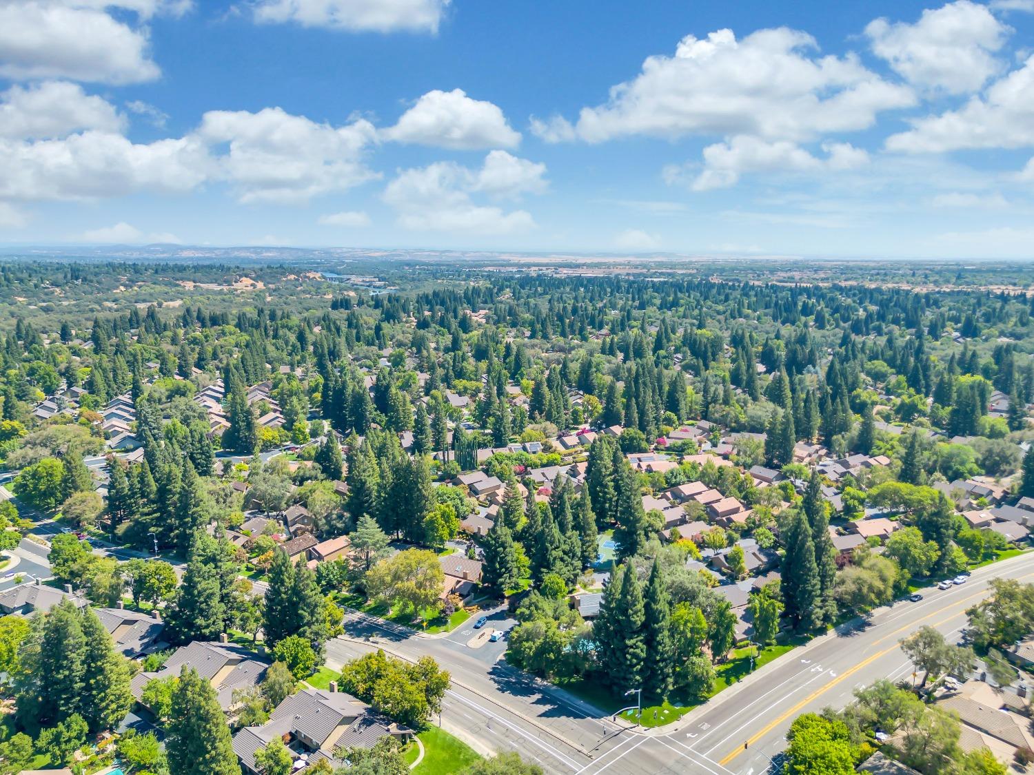 Detail Gallery Image 64 of 66 For 2163 Promontory Point Ln, Gold River,  CA 95670 - 2 Beds | 2 Baths