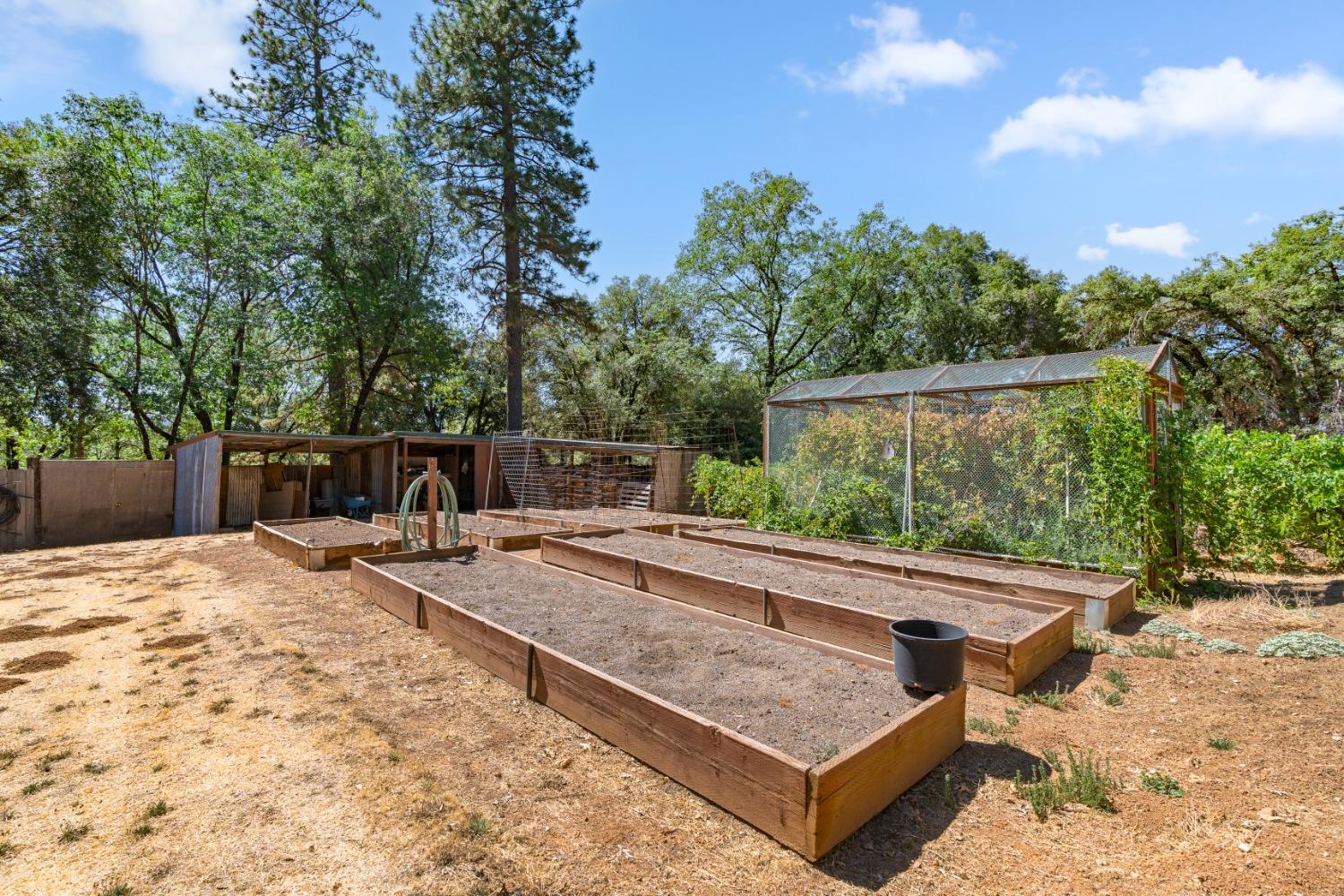 Detail Gallery Image 33 of 89 For 20716 Post Chaise Cir, Grass Valley,  CA 95949 - 4 Beds | 2/1 Baths