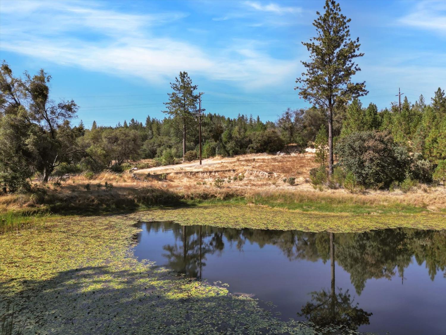 Detail Gallery Image 53 of 99 For 10213 Tyler Foote Rd, Nevada City,  CA 95959 - 3 Beds | 2/1 Baths