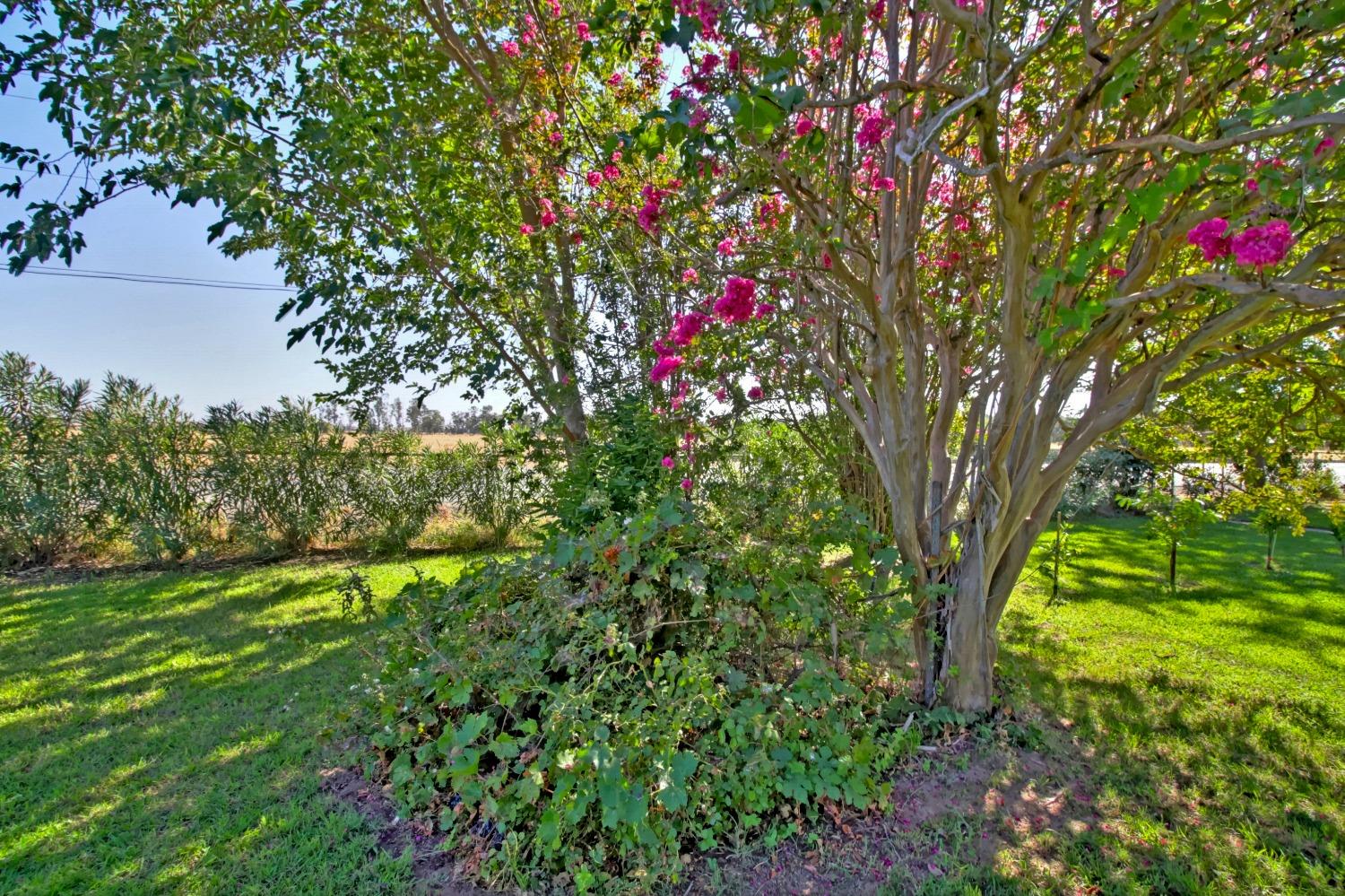 Detail Gallery Image 31 of 62 For 9149 Florin Rd, Sacramento,  CA 95829 - 3 Beds | 2 Baths