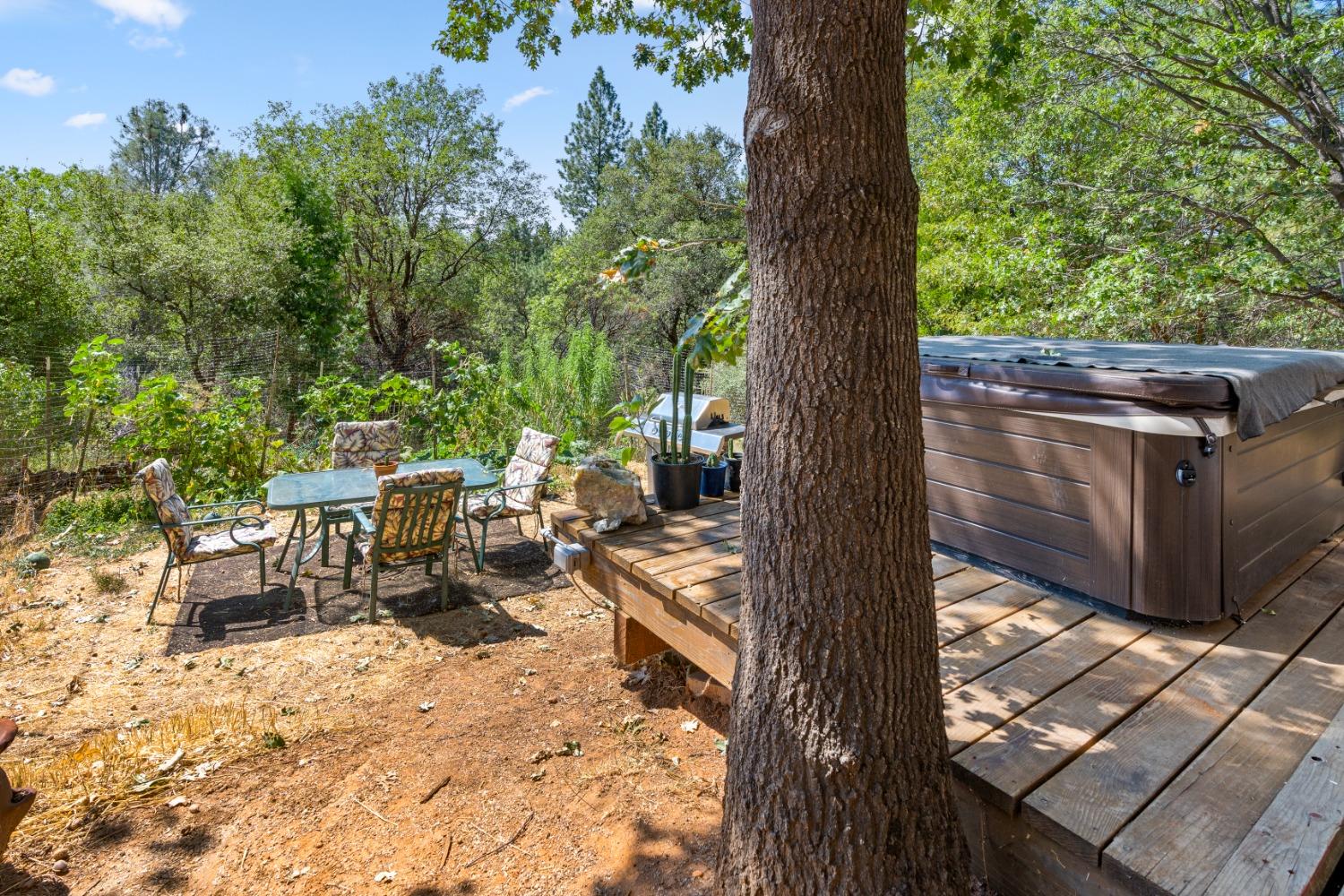 Detail Gallery Image 49 of 99 For 26630 Feather Ct, Nevada City,  CA 95959 - 5 Beds | 4/2 Baths