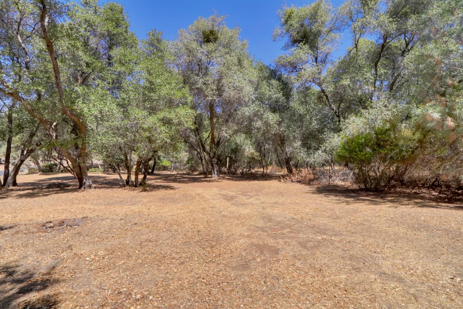 Homestead Road, Rescue, California image 18