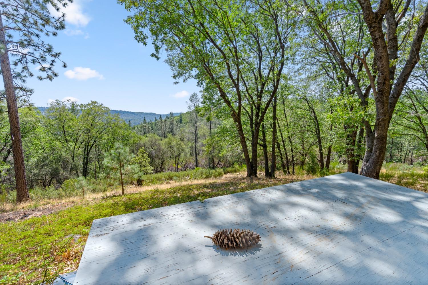 Detail Gallery Image 94 of 99 For 26630 Feather Ct, Nevada City,  CA 95959 - 5 Beds | 4/2 Baths