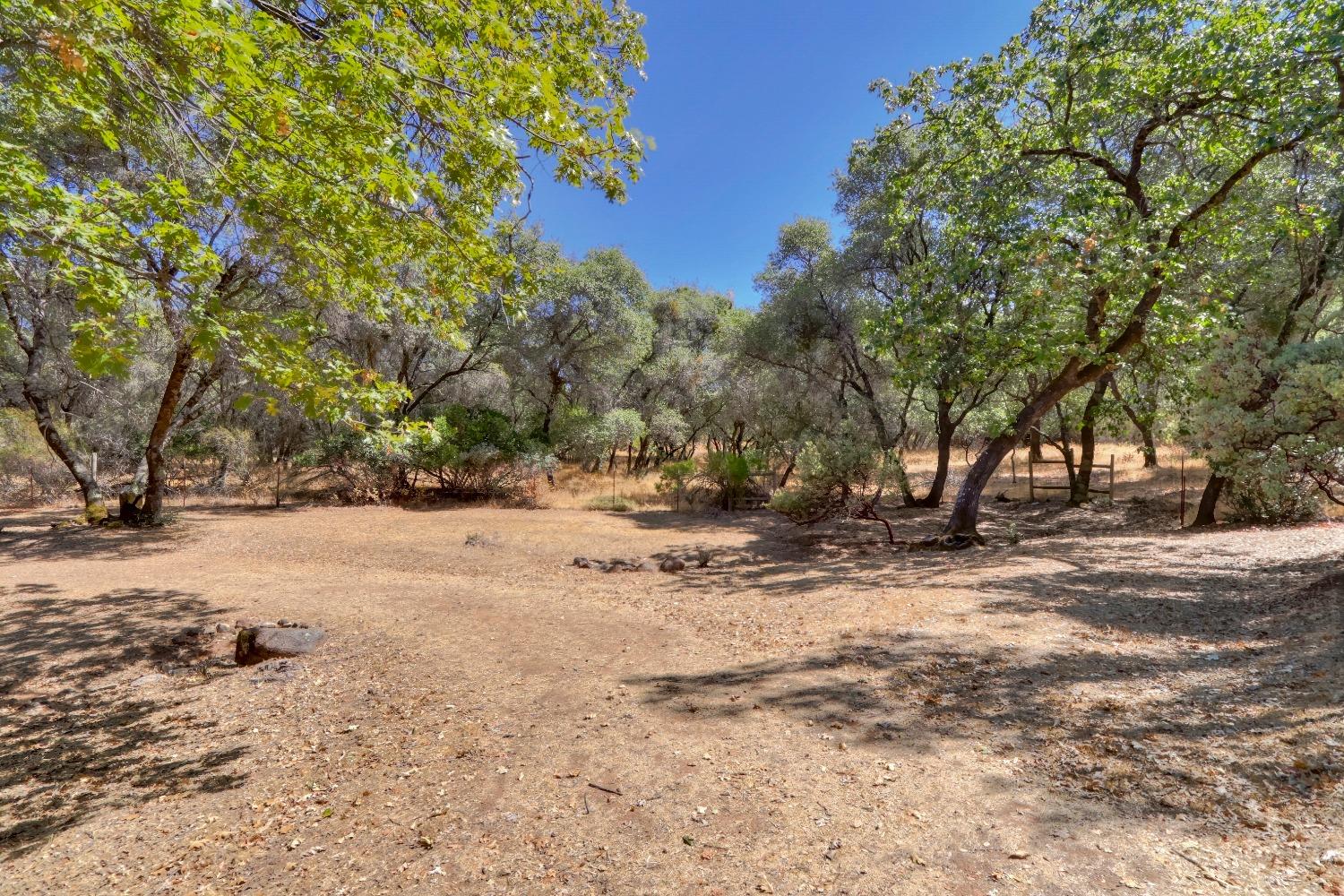 Homestead Road, Rescue, California image 39